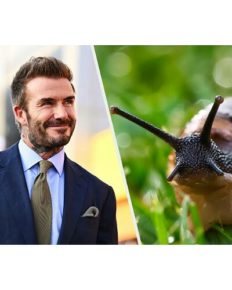 David Beckham talks about his love for snails and other delicacies despite diet restrictions during play!