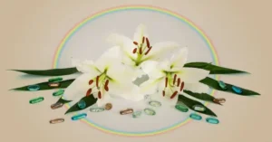 Lillienu: Origins, Cultural Significance, and Modern-Day Relevance