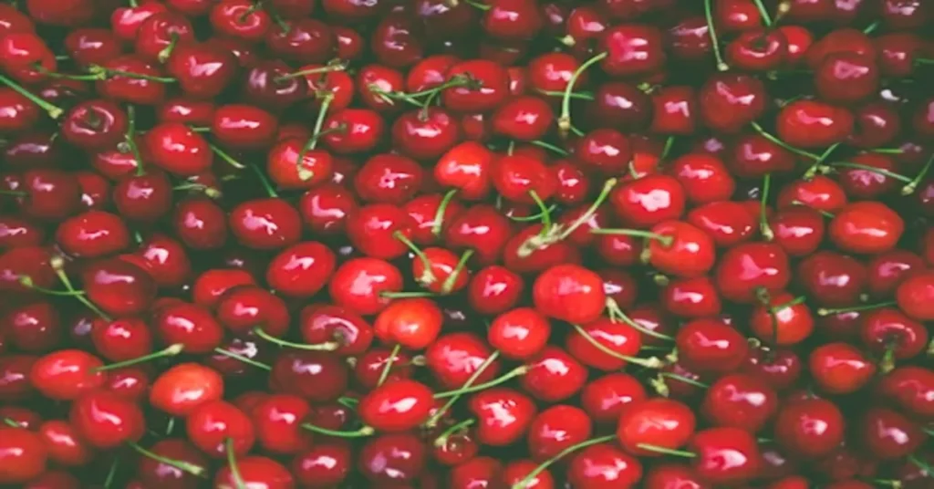 Dallas Cherries: History, Cultivation, Market Trends, and Culinary Legacy